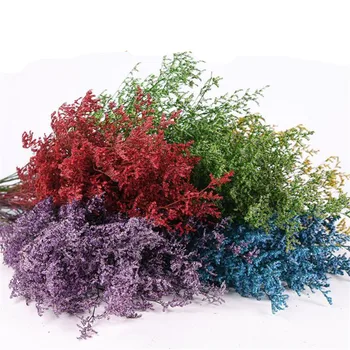 Dried Lover Grass 1 Bundle 45-50CM DIY Wedding Party Photo Props Pure natural plant Dried Flowers Cafe Library Home decoration
Dried Lover Grass 1 Bundle 45-50CM DIY Wedding Party Photo Props Pure natural plant Dried Flowers Cafe Library Home decoration