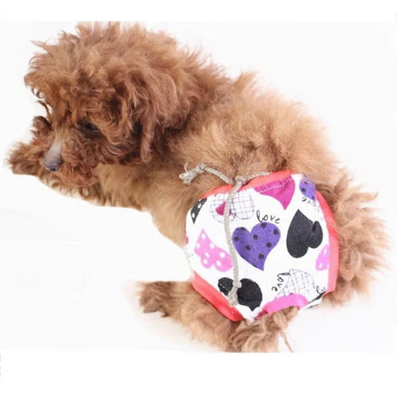 Bitch Physiological Pants Pet Estrus Pants Cute Dog Underwear Safety Pants Anti-Harassment Menstrual Pants Pet Supplies
Bitch Physiological Pants Pet Estrus Pants Cute Dog Underwear Safety Pants Anti-Harassment Menstrual Pants Pet Supplies