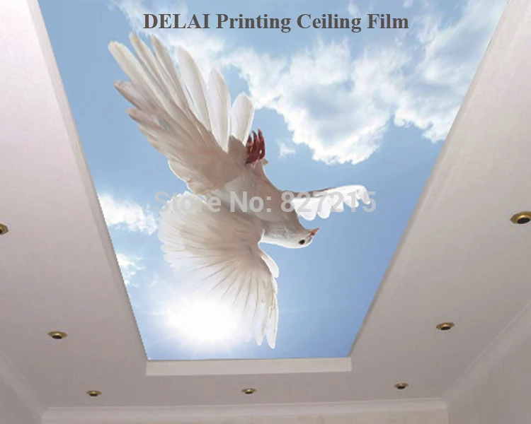 SKB-004 vivid pigeon in the sun printing stretch ceiling film with led strip for home decoration in living room
SKB-004 vivid pigeon in the sun printing stretch ceiling film with led strip for home decoration in living room