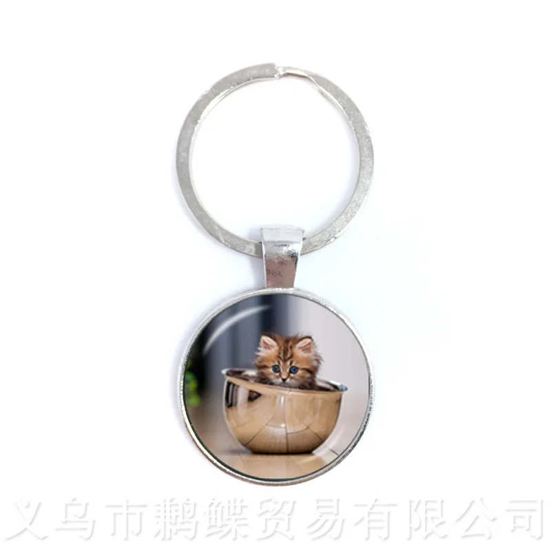 2018 New Personalized Pet Keychains 25mm Round Glass Dome Cat Pattern Series Handmade Keyring Cat Lover Creative Gift
2018 New Personalized Pet Keychains 25mm Round Glass Dome Cat Pattern Series Handmade Keyring Cat Lover Creative Gift