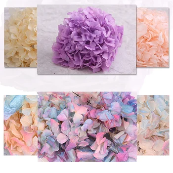 20g Artificial Moss Preserved Flowers of Decorative Dried Flowers Rose,DIY Rose Flower Head Material Wedding Home Decoration 
20g Artificial Moss Preserved Flowers of Decorative Dried Flowers Rose,DIY Rose Flower Head Material Wedding Home Decoration