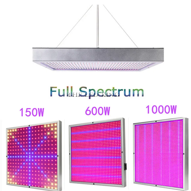 1 шт. 2835 SMD 600W 800W 1000W 1200W 1500W 1800W 2000W двойной чип светодиодный светильник полного спектра красный/синий/УФ/ИК для комнатных растений
1 шт. 2835 SMD 600W 800W 1000W 1200W 1500W 1800W 2000W двойной чип светодиодный светильник полного спектра красный/синий/УФ/ИК для комнатных растений