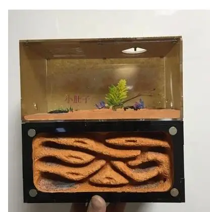Large Size Ants Mud Nest Original Ant Farm Castle Workshop for Ants Queen Big Tribe Keep Moisture Granja de Hormigas nid fourmis
Large Size Ants Mud Nest Original Ant Farm Castle Workshop for Ants Queen Big Tribe Keep Moisture Granja de Hormigas nid fourmis