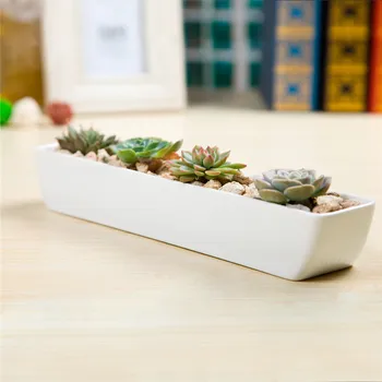Indoor Cute Simple White Mini Ceramic Flower Pot Creative Fleshy Elongated Desktop Zakka Pot Factory Direct Wholesale Planter
Indoor Cute Simple White Mini Ceramic Flower Pot Creative Fleshy Elongated Desktop Zakka Pot Factory Direct Wholesale Planter
