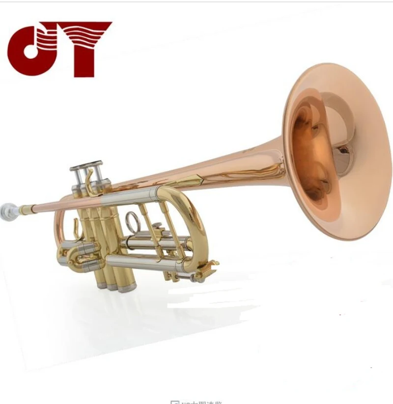 Free shipping JINYIN Bb Flat trumpet Professional trompete mouthpiece+padded case Brass wind instruments trumpeter JYTR-EM300
Free shipping JINYIN Bb Flat trumpet Professional trompete mouthpiece+padded case Brass wind instruments trumpeter JYTR-EM300