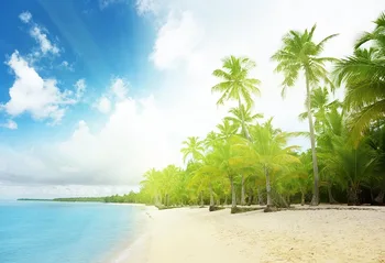 Palms beach background photography fotografia vinyl sea beach photo backdrops for newborns photo studio accessories props lv-430
Palms beach background photography fotografia vinyl sea beach photo backdrops for newborns photo studio accessories props lv-430