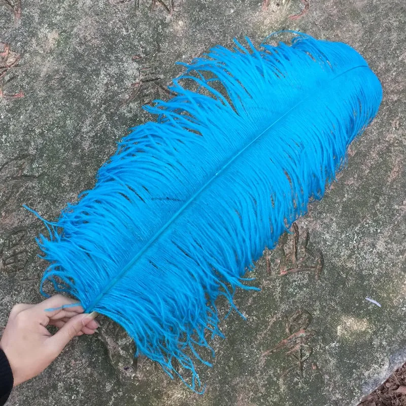 50 PCS natural Turquoise ostrich feather 50-55 cm / 20 to 22 inches feathers ostrich plume wedding decoration free shipping
50 PCS natural Turquoise ostrich feather 50-55 cm / 20 to 22 inches feathers ostrich plume wedding decoration free shipping