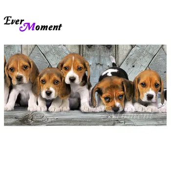 Ever Moment Dogs Animal Pet Diamond Painting 5D DIY Stone Cross Stitch Full Square Drill Diamond Embroidery Handmade S2F1202
Ever Moment Dogs Animal Pet Diamond Painting 5D DIY Stone Cross Stitch Full Square Drill Diamond Embroidery Handmade S2F1202