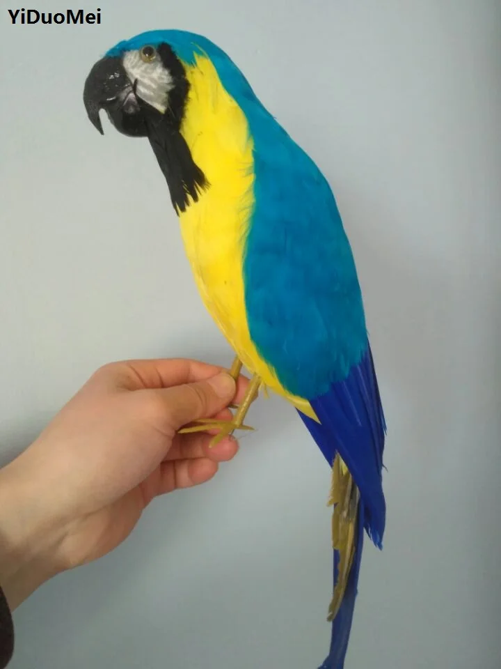 large 42cm artificial parrot bird blue feathers parrot ,pastoral handicraft prop,home garden decoration gift a1700
large 42cm artificial parrot bird blue feathers parrot ,pastoral handicraft prop,home garden decoration gift a1700