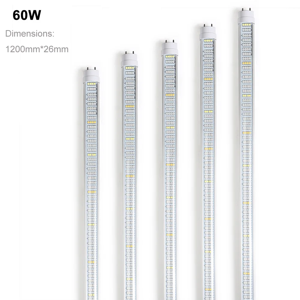 60w 5p