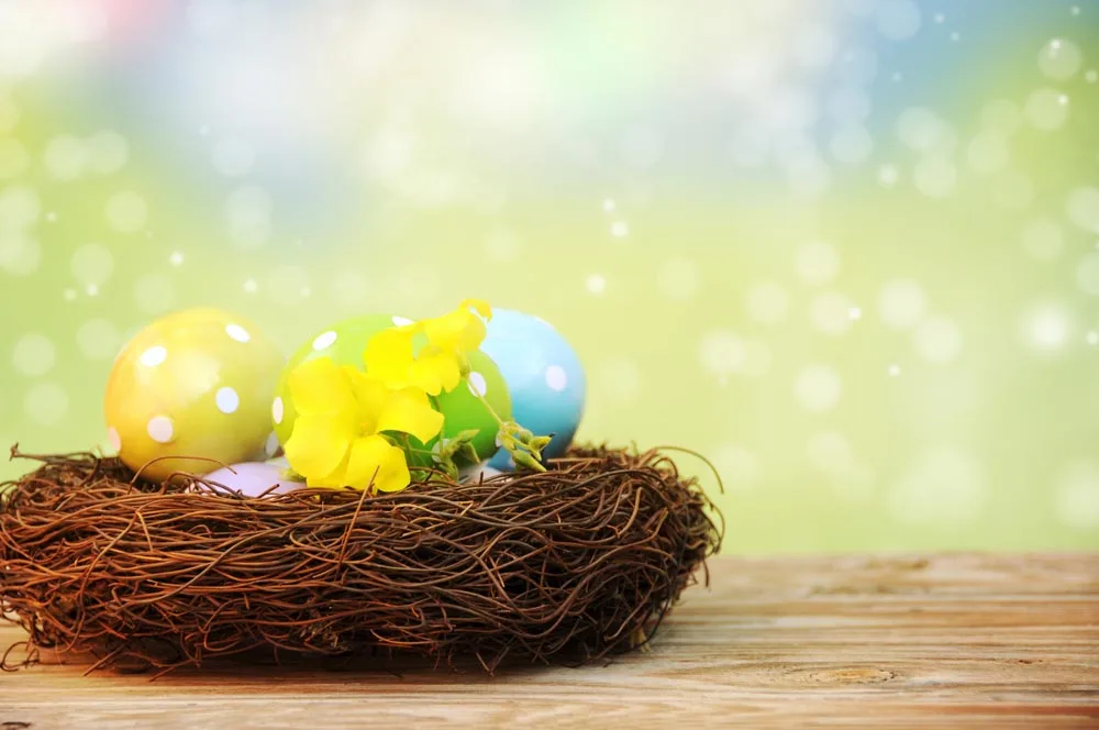 Vinyl Custom Photography Backdrops Prop Digital Printed Easter day theme Photo Studio Background TATFH-10505
Vinyl Custom Photography Backdrops Prop Digital Printed Easter day theme Photo Studio Background TATFH-10505