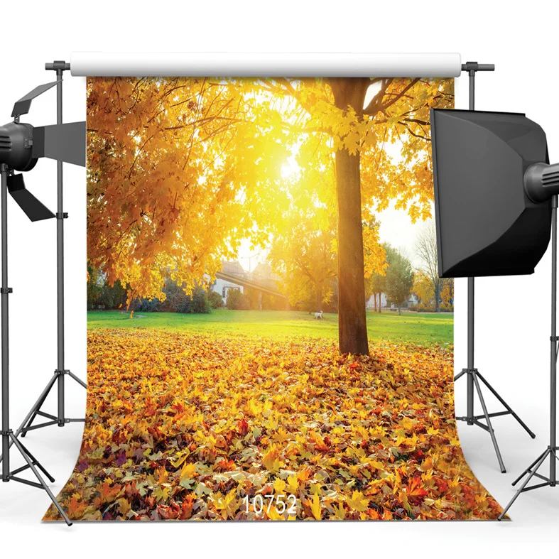 Custom Vinyl Cloth Photography Backdrops Autumn Fallen Leaves Sunshine Children Wedding for Photo Studio Background
Custom Vinyl Cloth Photography Backdrops Autumn Fallen Leaves Sunshine Children Wedding for Photo Studio Background