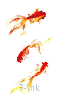Waterproof Temporary Tattoos sticker Chinese painting goldfish tatooTransfer fake flash tattoo 10.5*6 cm for man woman
Waterproof Temporary Tattoos sticker Chinese painting goldfish tatooTransfer fake flash tattoo 10.5*6 cm for man woman