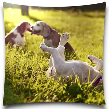Dog Pattern Excellent Quality Soft Cushion Covers Christmas Halloween Cotton Polyester Pillow Cases 5 size 9 style
Dog Pattern Excellent Quality Soft Cushion Covers Christmas Halloween Cotton Polyester Pillow Cases 5 size 9 style