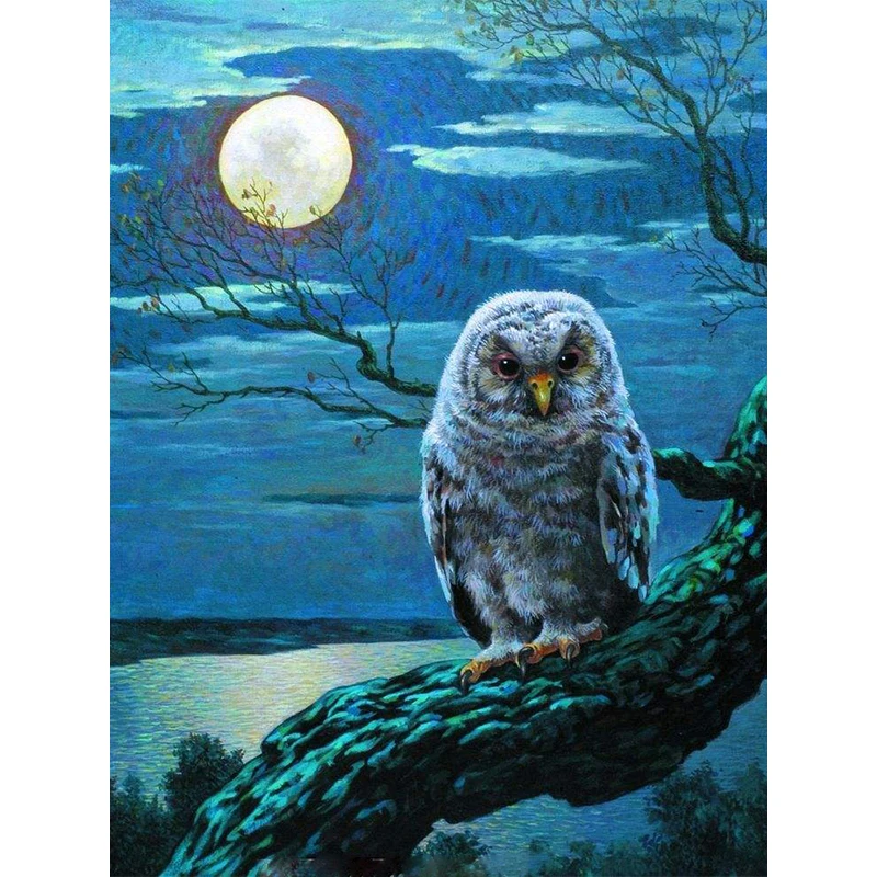 moon owl DIY Diamond Embroidery mazayka Needlework full Square 3D Diamond Painting Fashion Home Decor Cross Stitch wall Painting
moon owl DIY Diamond Embroidery mazayka Needlework full Square 3D Diamond Painting Fashion Home Decor Cross Stitch wall Painting