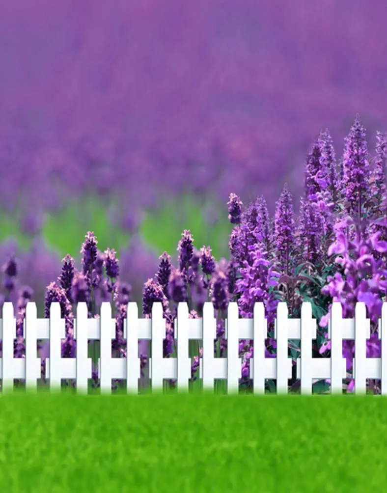 5x7ft Lawn Fence Purple Flowers Photography Backdrops Photo Props Studio Background
5x7ft Lawn Fence Purple Flowers Photography Backdrops Photo Props Studio Background
