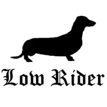 15.4CM*10.6CM Low Rider Sticker Decal Turbo Illest Funny Car Stickers Motorcycle Decorating Stickers Black/Sliver C8-0241
15.4CM*10.6CM Low Rider Sticker Decal Turbo Illest Funny Car Stickers Motorcycle Decorating Stickers Black/Sliver C8-0241