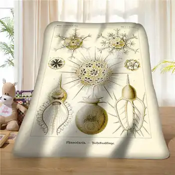 Custom Haeckel_Trachomedusae (1) @1 Blanket Soft Fleece DIY Your Picture Decoration Bedroom Sofa Multi Size#929-02-003-76
Custom Haeckel_Trachomedusae (1) @1 Blanket Soft Fleece DIY Your Picture Decoration Bedroom Sofa Multi Size#929-02-003-76