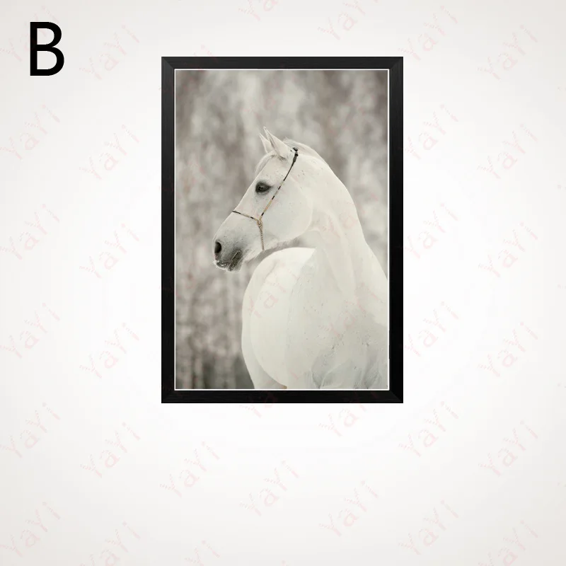 HAOCHU Nordic White Horse Modern Simple Painting Background Wall Art Photography Living Room Home Decoration Canvas Painting
HAOCHU Nordic White Horse Modern Simple Painting Background Wall Art Photography Living Room Home Decoration Canvas Painting