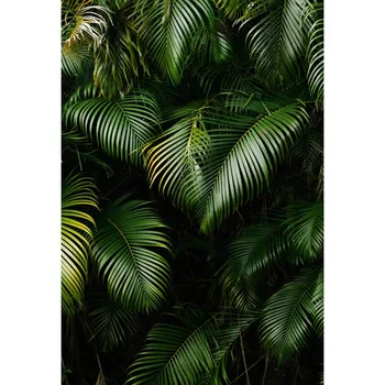 Photography Background Backdrop Green Tropical Leaves For Customized Photoshoot Youtube Videos Outdoor Activities Photo Props
Photography Background Backdrop Green Tropical Leaves For Customized Photoshoot Youtube Videos Outdoor Activities Photo Props
