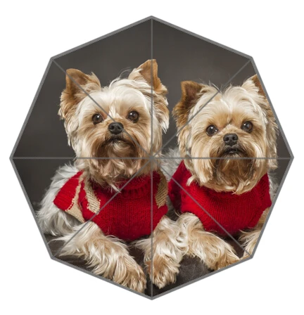 Custom Yorkshire Terrier Smart Pet-2 elephant Foldable Umbrellas Suprised Gift For lover friend
Custom Yorkshire Terrier Smart Pet-2 elephant Foldable Umbrellas Suprised Gift For lover friend
