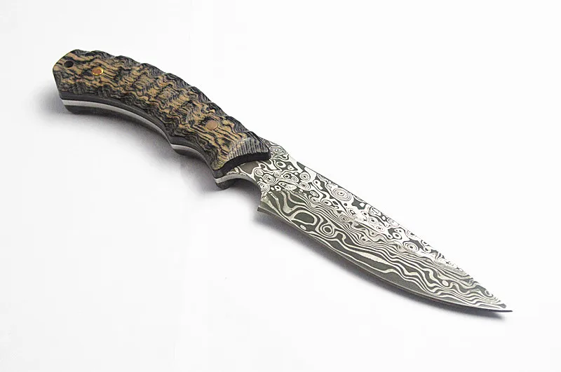 4384593509_1611285389