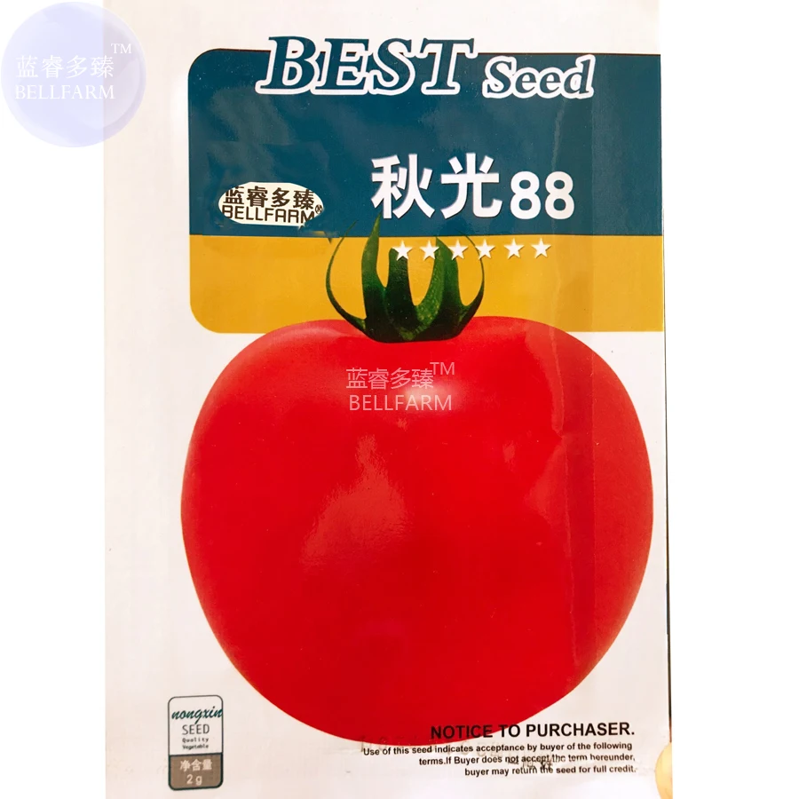 BELLFARM Tomato 