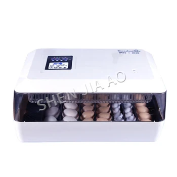 LN1-II Automatic Double Power Automatic Incubator Chicken Duck Goose Incubator Small Incubator Eggifier Incubator 220V 1PC
LN1-II Automatic Double Power Automatic Incubator Chicken Duck Goose Incubator Small Incubator Eggifier Incubator 220V 1PC