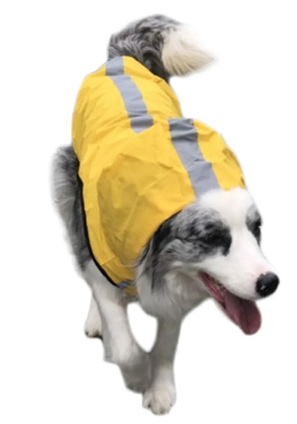 Dog raincoat Adjustable Pet Dog Waterproof Raincoat Packable Jacket Safety Reflective Stripes 2019 new pet raincoat perro grande
Dog raincoat Adjustable Pet Dog Waterproof Raincoat Packable Jacket Safety Reflective Stripes 2019 new pet raincoat perro grande