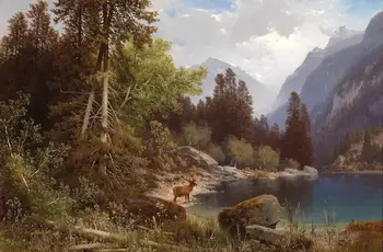 wonderful wild animal wildlife deer by lake & mountains landscape#100% hand painted #Oil painting on Canvas #free shipping
wonderful wild animal wildlife deer by lake & mountains landscape#100% hand painted #Oil painting on Canvas #free shipping