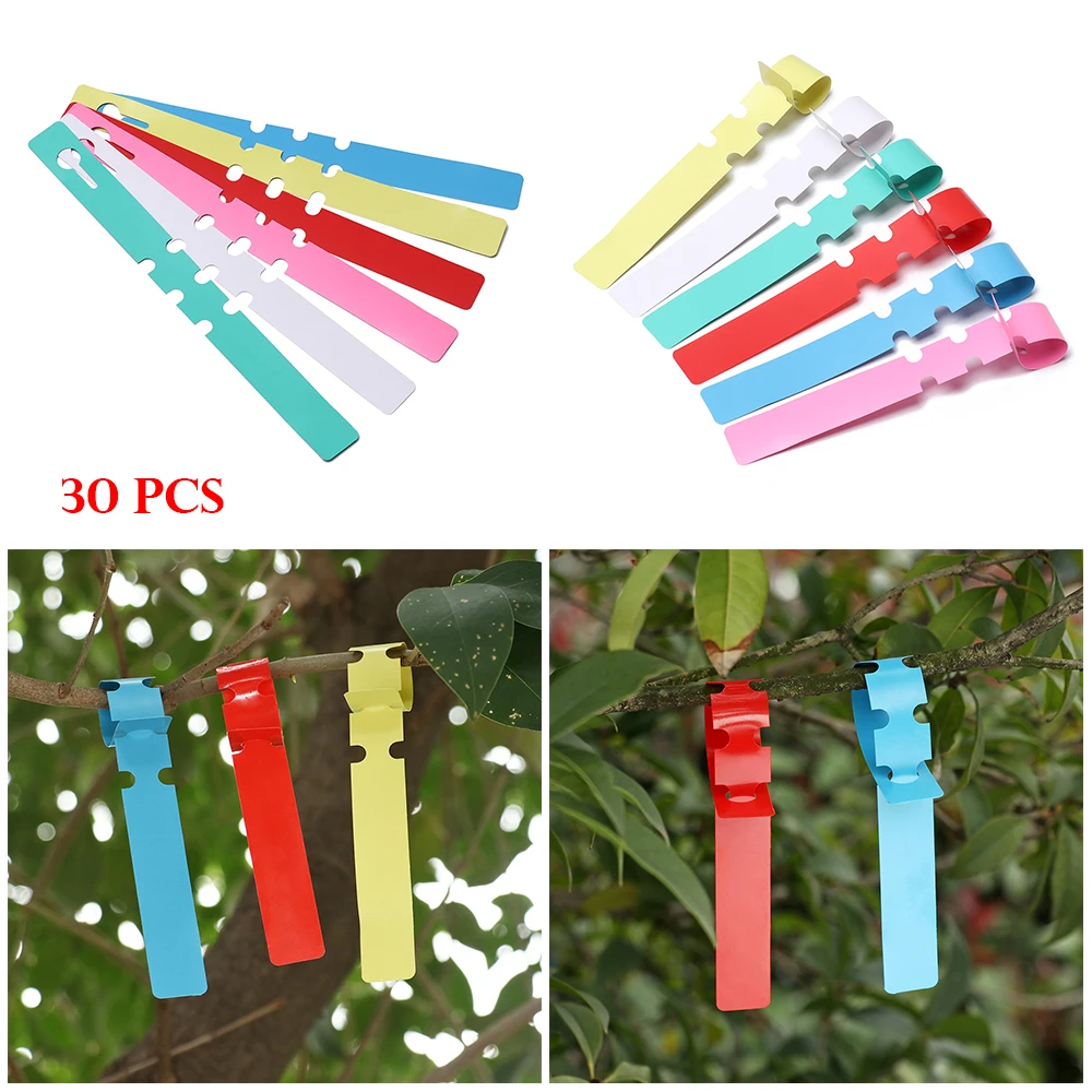 30PCS Fashion Classification Signs Waterproof Plant Gardening Tools Hanging Label Nursery Pot Seedling Tags Signs Prompt Card
30PCS Fashion Classification Signs Waterproof Plant Gardening Tools Hanging Label Nursery Pot Seedling Tags Signs Prompt Card