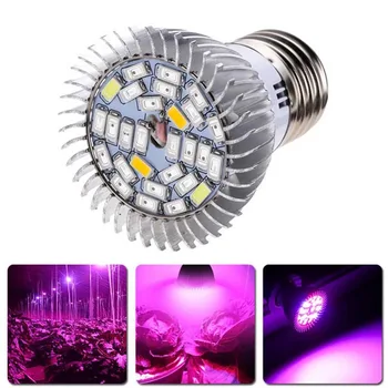 Full Spectrum 28 SMD Red Blue White LED Grow Lamp Grow Light Cup for Flower Plant Hydroponics E14/E27/GU10 Lights JA55
Full Spectrum 28 SMD Red Blue White LED Grow Lamp Grow Light Cup for Flower Plant Hydroponics E14/E27/GU10 Lights JA55