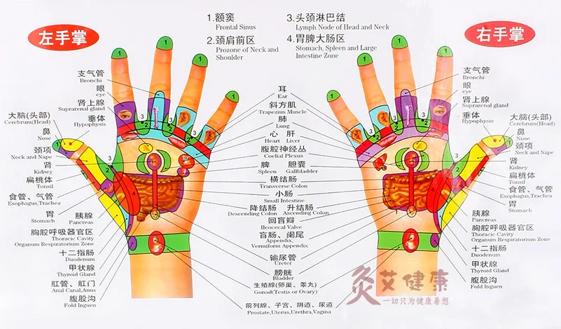 Free chart sexual hand reflexology