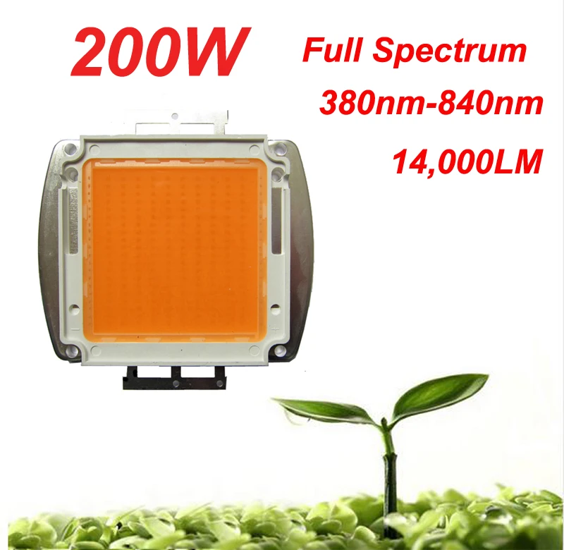 1PCS BridgeLux Square Base 200W 32-36V Full Spectrum 380nm~840nm SMD LED Grow Chip Bulb Light Lamp For Plant Grow
1PCS BridgeLux Square Base 200W 32-36V Full Spectrum 380nm~840nm SMD LED Grow Chip Bulb Light Lamp For Plant Grow