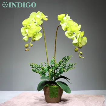 INDIGO - Green Butterfly Orchid Flower Arrangment Real Touch Flower Wedding Party Dining-table Decoration Event Free Shipping
INDIGO - Green Butterfly Orchid Flower Arrangment Real Touch Flower Wedding Party Dining-table Decoration Event Free Shipping