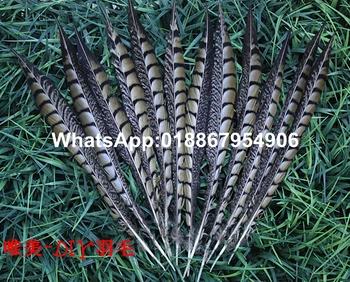Free Shipping 35-40cm 14-16 inches 100pcs Natural Brown Lady danceing pheasant tails Side pheasant feather
Free Shipping 35-40cm 14-16 inches 100pcs Natural Brown Lady danceing pheasant tails Side pheasant feather