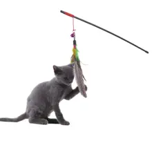45cm Pet Cat Teaser Multi Color Bird Feather Plush Wand Catcher Teaser Stick Cat Interactive Toys Teasing The Cat 
45cm Pet Cat Teaser Multi Color Bird Feather Plush Wand Catcher Teaser Stick Cat Interactive Toys Teasing The Cat