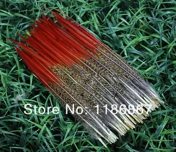 Free shipping 50pcs 15-20cm/6-8inch natrual pheasant red feathers for jewelry clothing accessories craft bulk wedding wholesale
Free shipping 50pcs 15-20cm/6-8inch natrual pheasant red feathers for jewelry clothing accessories craft bulk wedding wholesale