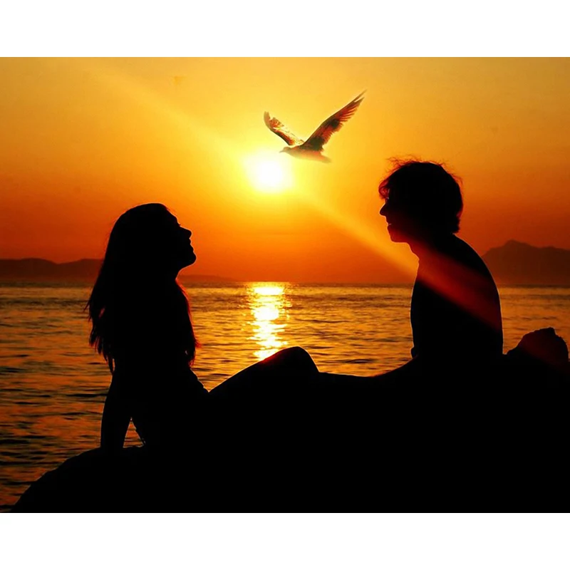 DIY Digital Painting By Numbers sunset couple oil painting mural Kits Coloring Wall Art Picture Gift frameless
DIY Digital Painting By Numbers sunset couple oil painting mural Kits Coloring Wall Art Picture Gift frameless