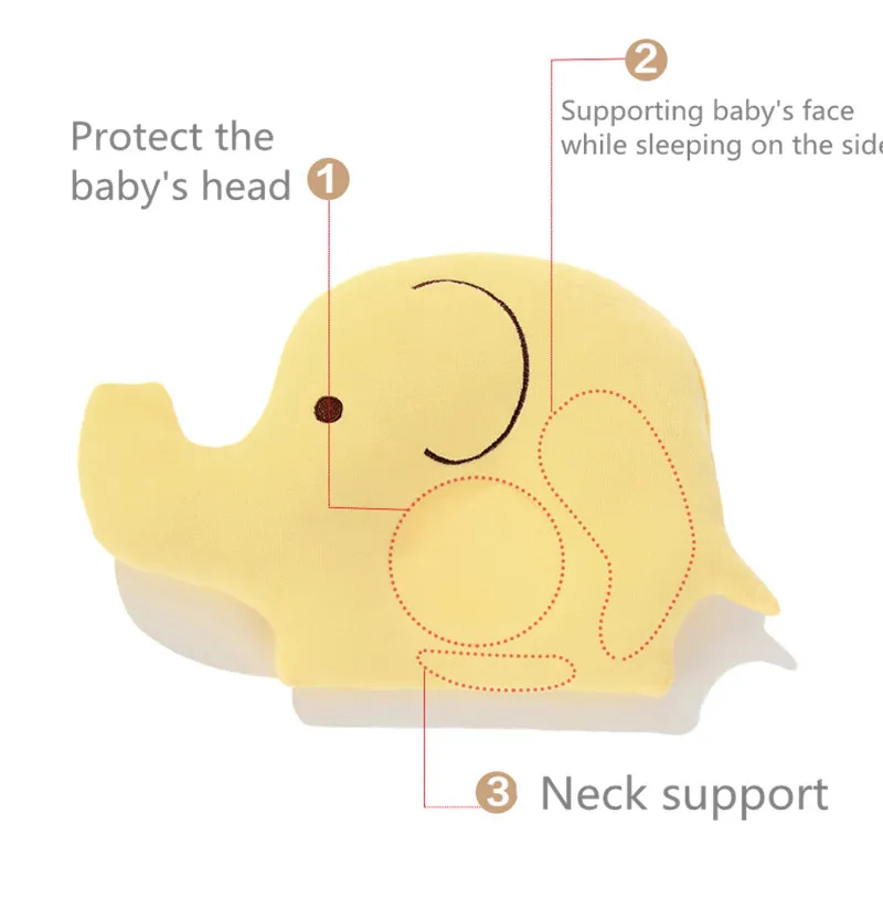 3806748624_2100053389