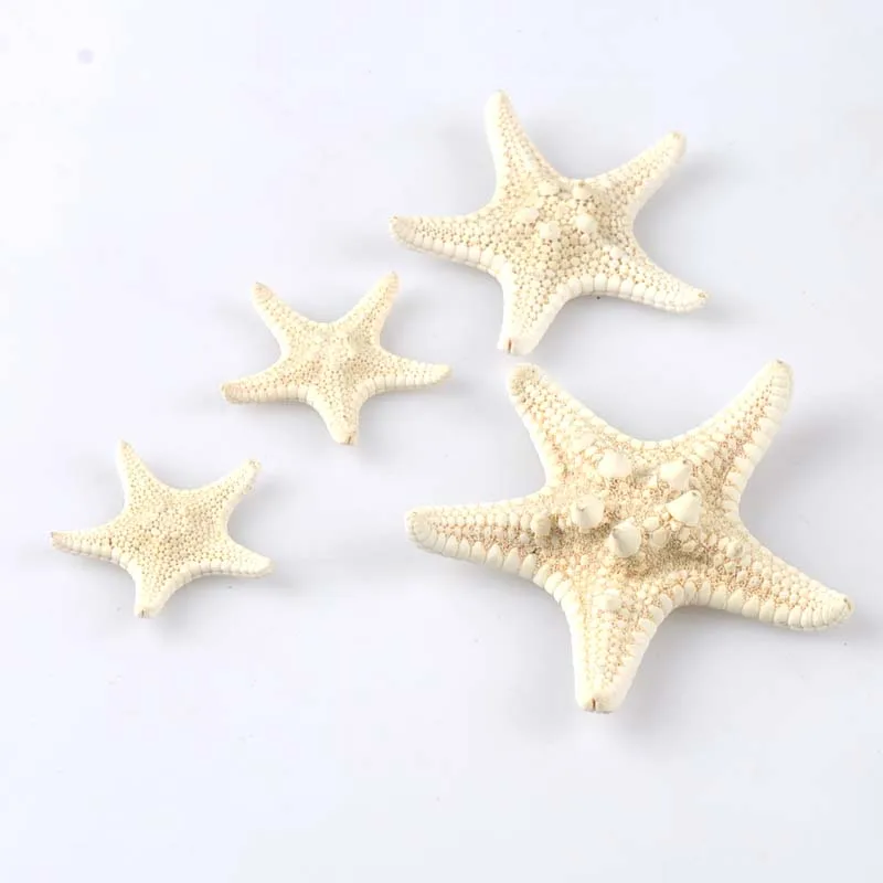 5pcs 2-4cm Natural Beige Starfish Nautical Sea Shells For Wedding Decoration Scrapbooking Seastar Crafts Home Beach
5pcs 2-4cm Natural Beige Starfish Nautical Sea Shells For Wedding Decoration Scrapbooking Seastar Crafts Home Beach