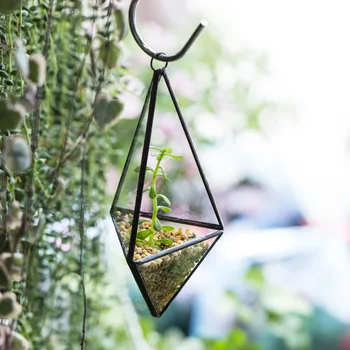 DIY Modern Succulent Flower Pots Planter Air Plant Holder Freestanding Hanging Small Geometric Pyramid Glass Container Terrarium
DIY Modern Succulent Flower Pots Planter Air Plant Holder Freestanding Hanging Small Geometric Pyramid Glass Container Terrarium