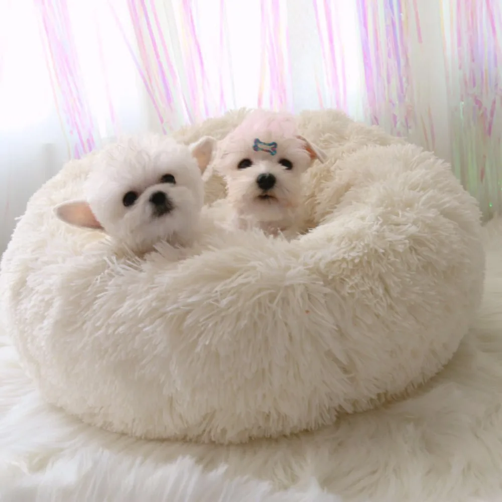 Pet Dog Beds Luxury Round Houses Long Wool Warm Soft Cat Bed Pet Washable Cushion for Dogs Towels
Pet Dog Beds Luxury Round Houses Long Wool Warm Soft Cat Bed Pet Washable Cushion for Dogs Towels