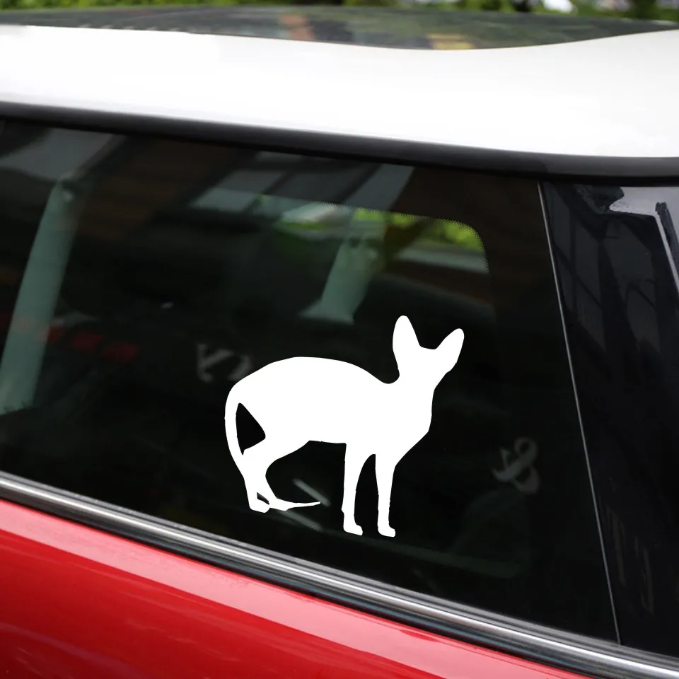 Anycuros Sphynx Cat Car Window Decorative Decals Funny Lovely Animal Car Stickers 11.512.1CM (11)