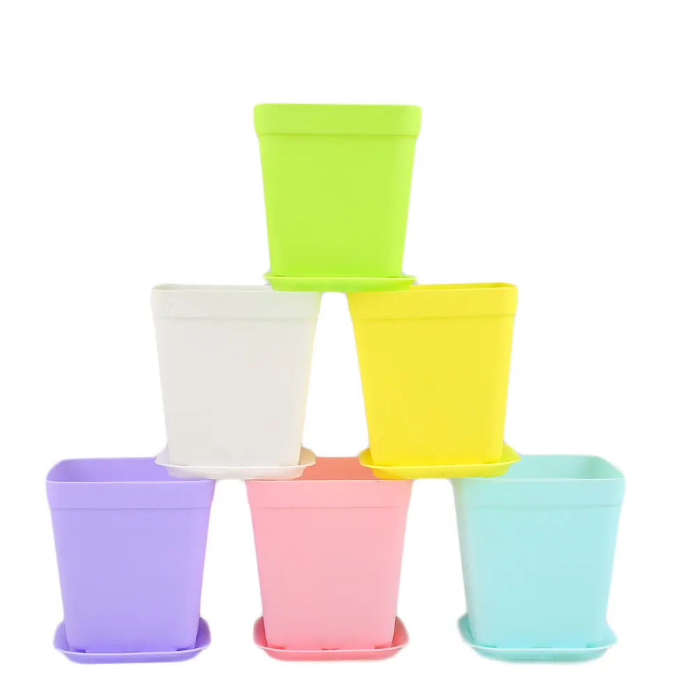 1Pc 6 Color ABS Colorful Flower Pots Multi-Meat Plant Dedicated Basin Dedicated Basin Planters Succulent Home Garden Decoration
1Pc 6 Color ABS Colorful Flower Pots Multi-Meat Plant Dedicated Basin Dedicated Basin Planters Succulent Home Garden Decoration