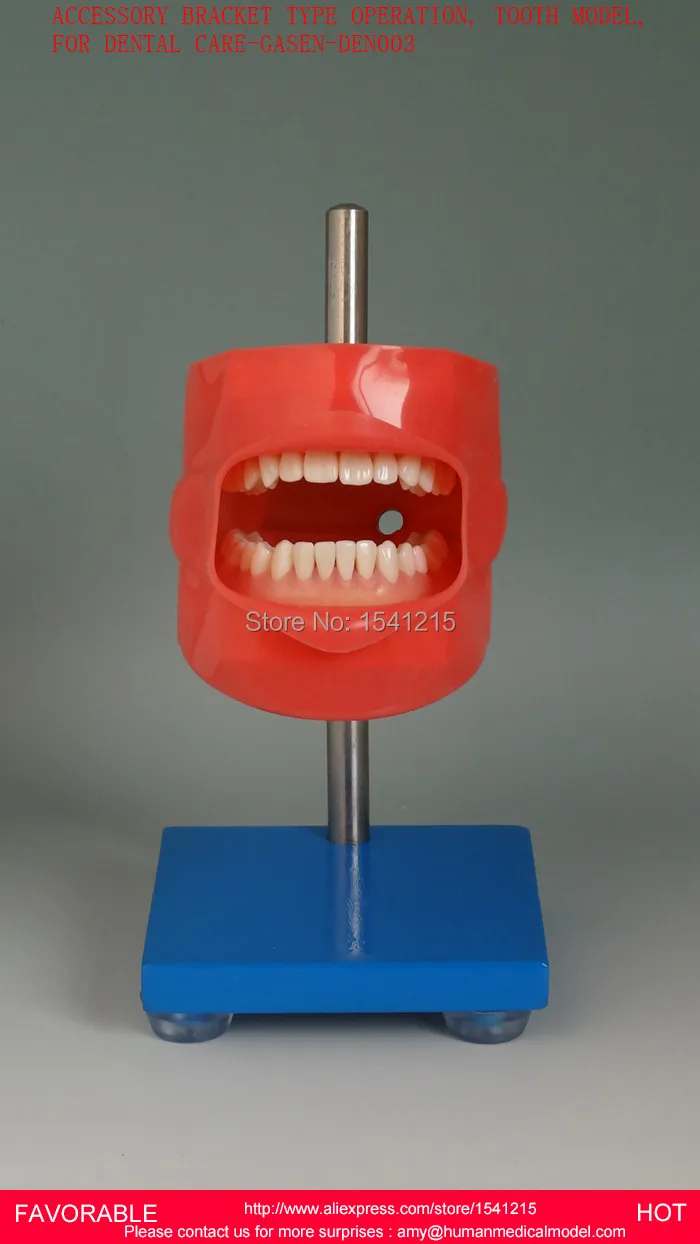 DENTAL MODEL TEETH PATHOLOGY MODEL,DENTAL DISEASE TOOTH TEACHING MODEL,ACCESSORY BRACKET OPERATION,TOOTH MODEL-GASEN-DEN003
DENTAL MODEL TEETH PATHOLOGY MODEL,DENTAL DISEASE TOOTH TEACHING MODEL,ACCESSORY BRACKET OPERATION,TOOTH MODEL-GASEN-DEN003