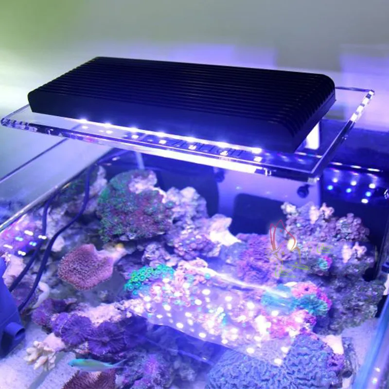 Marine LED light coral SPS LPS clip light for aquarium sea reef tank Wifi smart LED lamp
Marine LED light coral SPS LPS clip light for aquarium sea reef tank Wifi smart LED lamp