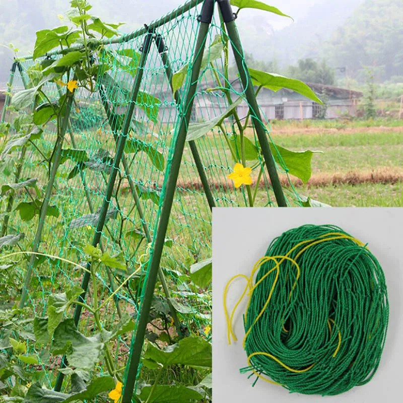 1.8 x 2.7m Green Garden fence mesh Plant vines Cucumber Climbing net Garden Decoration petunia flower vines net
1.8 x 2.7m Green Garden fence mesh Plant vines Cucumber Climbing net Garden Decoration petunia flower vines net