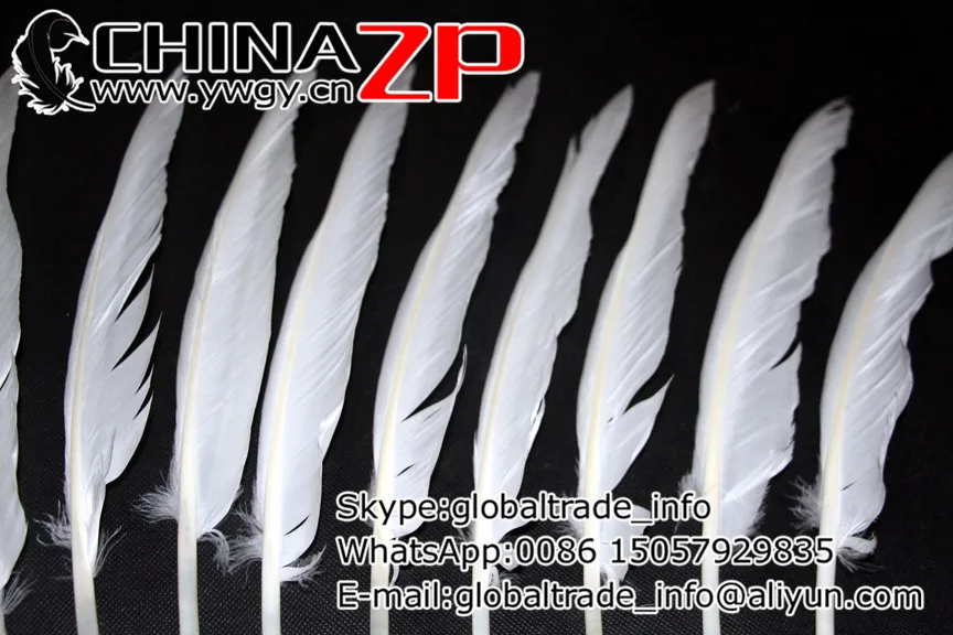Оптовая продажа с завода CHINAZP, уникальные отбеленные перья из белого гуся длиной 35 ~ 40 см (14 ~ 16 дюймов), 50 шт./лот
Оптовая продажа с завода CHINAZP, уникальные отбеленные перья из белого гуся длиной 35 ~ 40 см (14 ~ 16 дюймов), 50 шт./лот