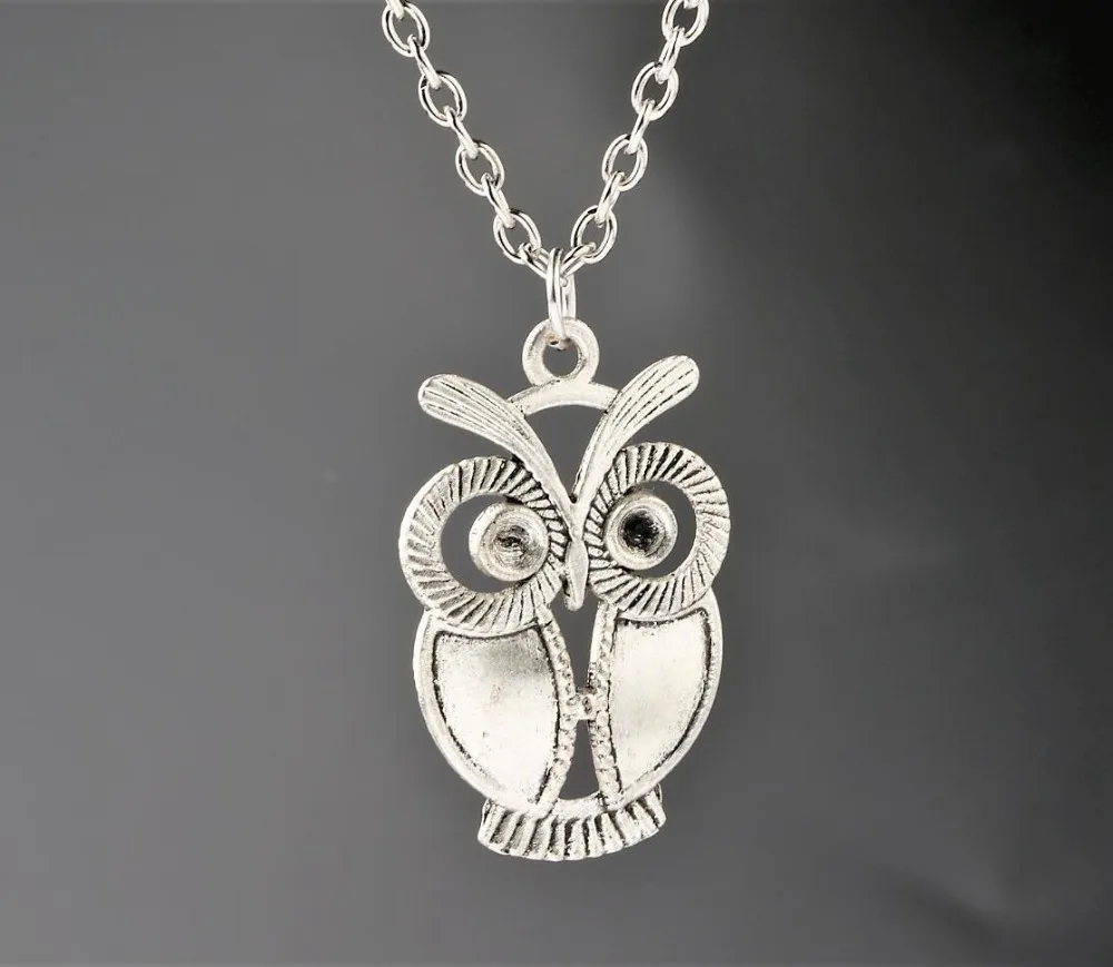 1 pcs New Fashion Retro Jewelry Vintage Ancient Silver Big Eyes Owl Necklace Pendant Statement Choker Women Girl Gift
1 pcs New Fashion Retro Jewelry Vintage Ancient Silver Big Eyes Owl Necklace Pendant Statement Choker Women Girl Gift